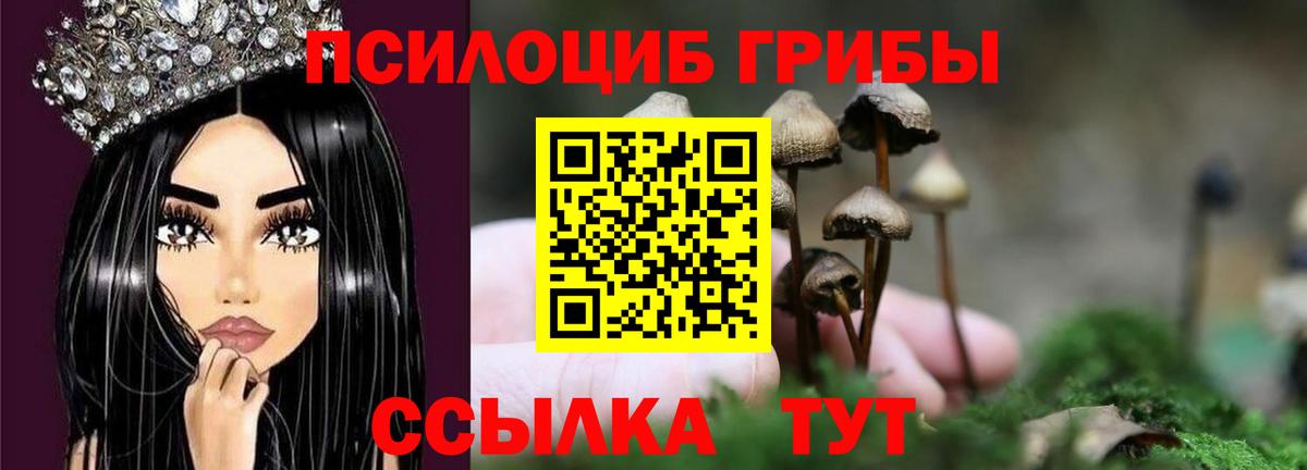 Галлюциногенные грибы мицелий  Вход с VPN  Североуральск  Галлюциногенные грибы Cubensis 